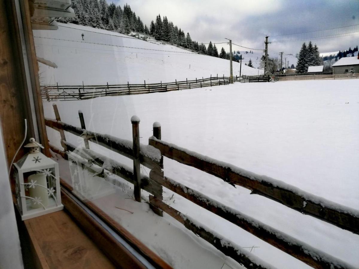 Nexus B2 Pension Fagetel Buitenkant foto